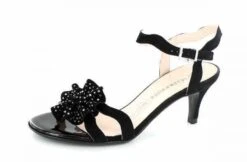 Peter Kaiser 06569 Paia Sw