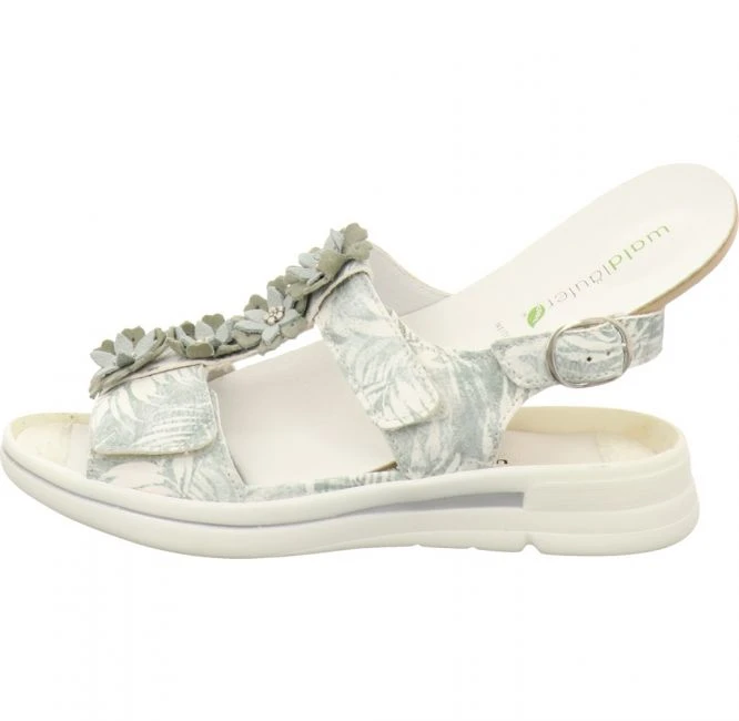 WaldlĂ€ufer - Lugina 226004 Sina G-Weite â Bild 6