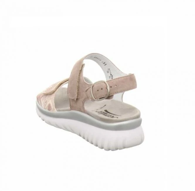 Semler L7015 Laura H Weite Rose â Bild 4