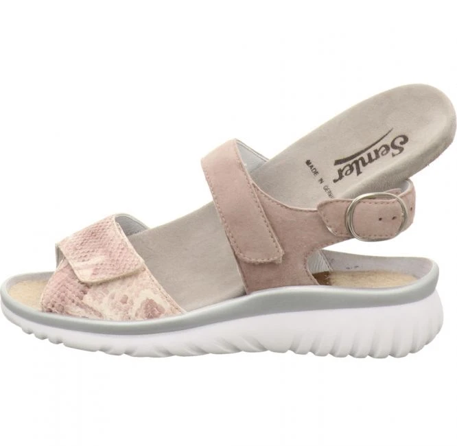 Semler L7015 Laura H Weite Rose â Bild 6