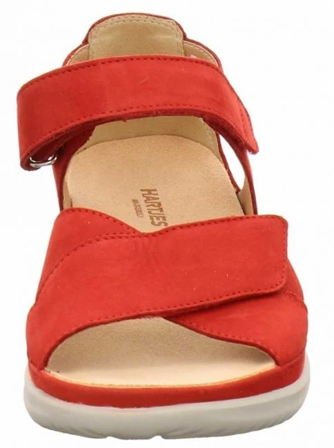 Hartjes 111332 Rot â Bild 3