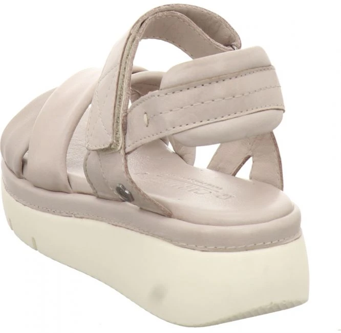 Carmela 6859603 – Bild 4