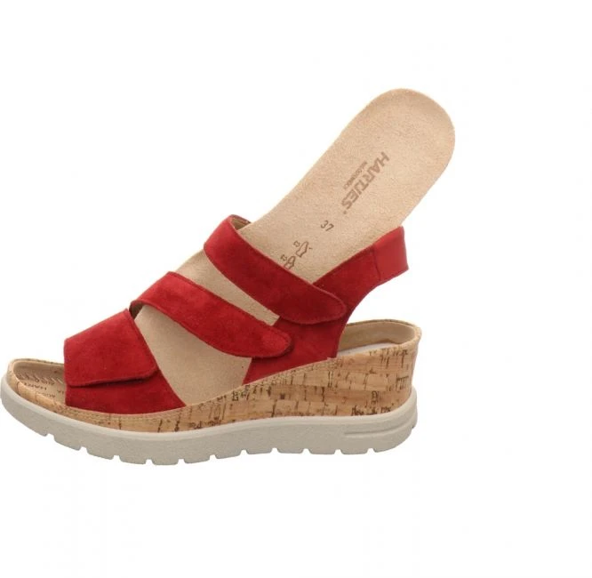 Hartjes 1705/73 – Bild 6