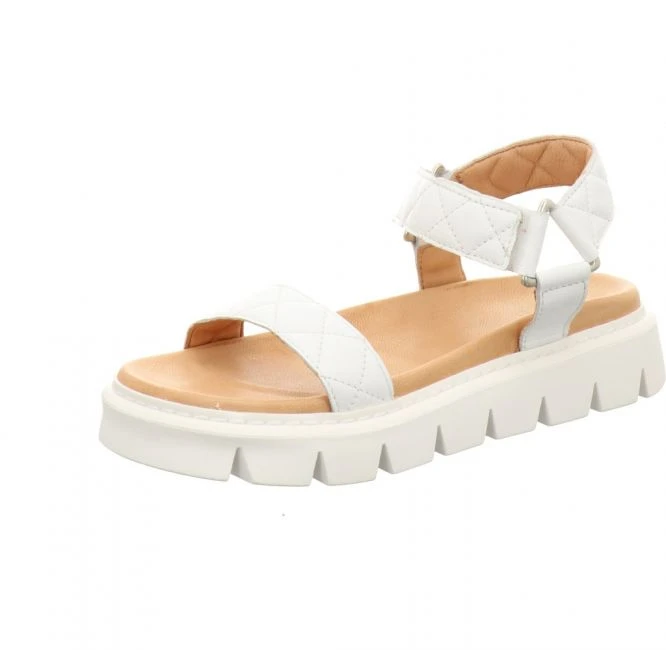 Apple Of Eden Greyce 2