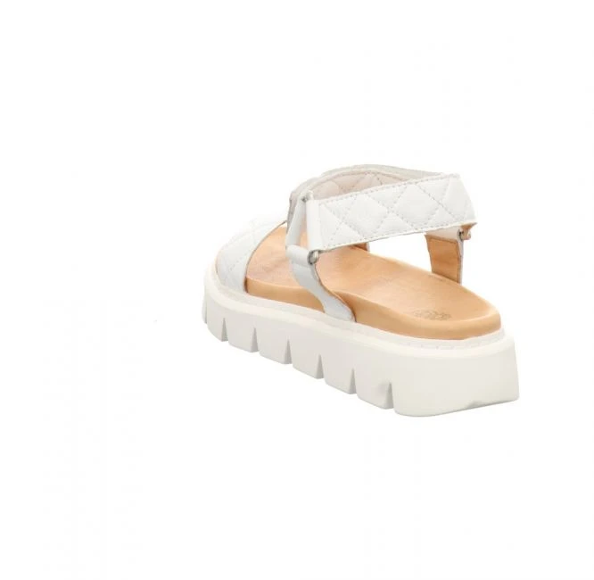 Apple Of Eden Greyce 2 – Bild 4