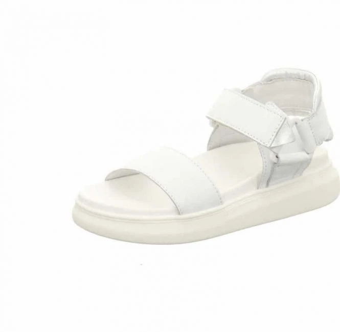 Apple Of Eden Elsa 2