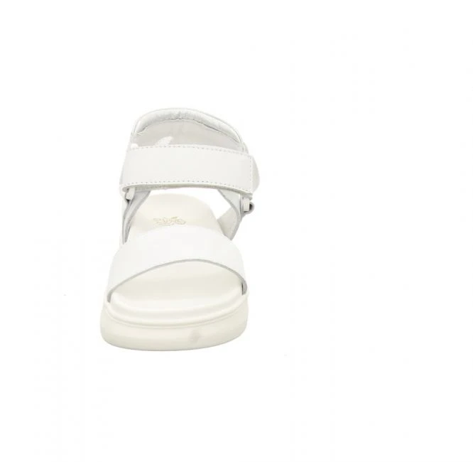 Apple Of Eden Elsa 2 – Bild 3