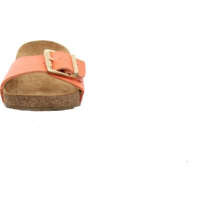 Haflinger Bio Gina Koralle – Bild 3