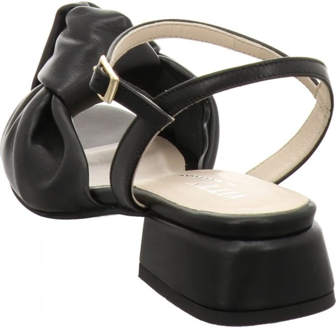 Attica Flora – Bild 4