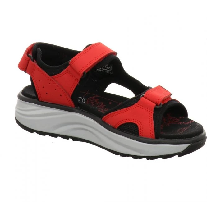 Joya Komodo Red – Bild 2