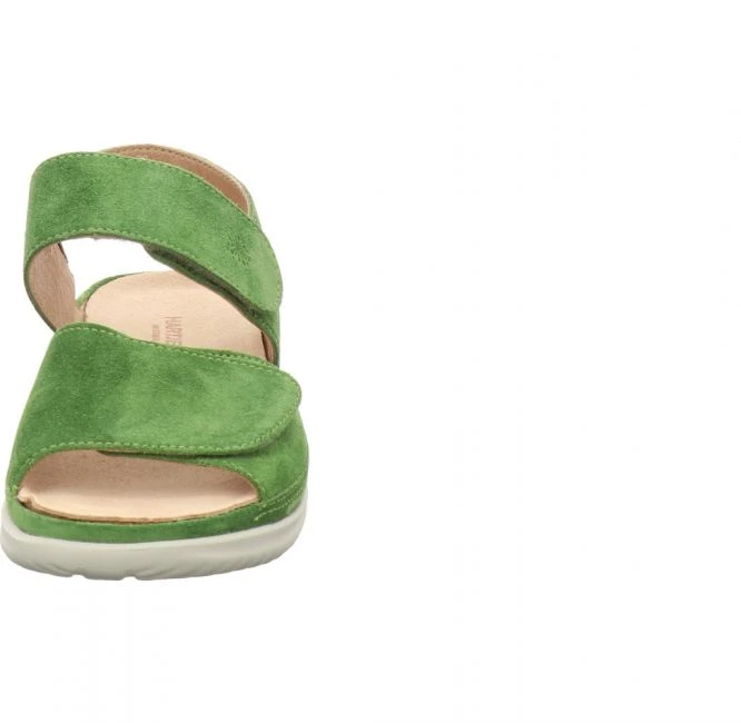 Hartjes 1137/99 Grün – Bild 3