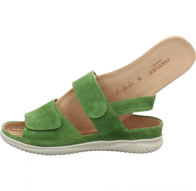 Hartjes 1137/99 Grün – Bild 6